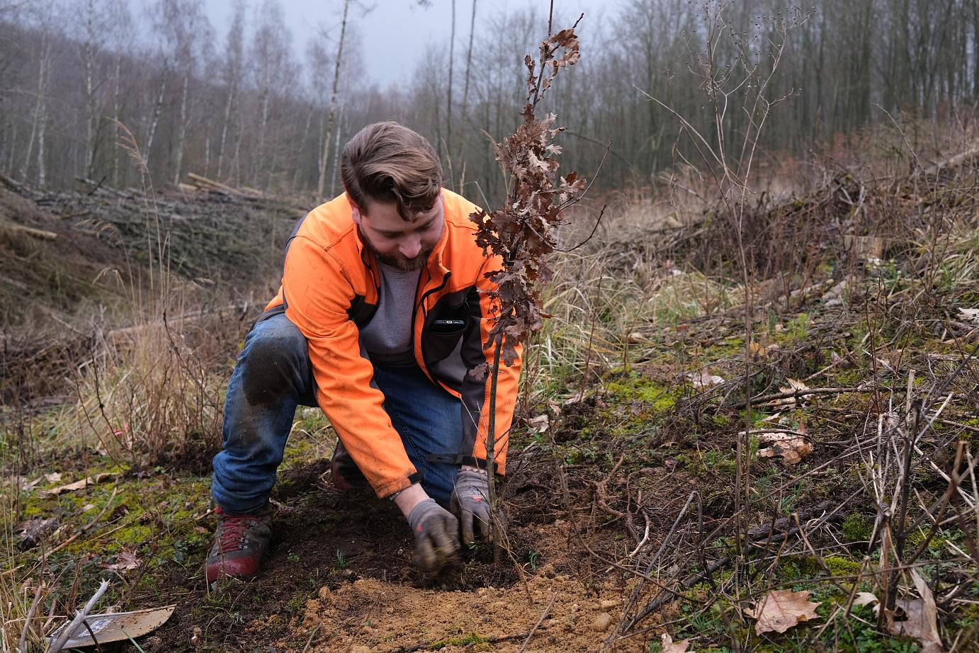 Engagement für Klima und Wald: Wie der VC Wiesbaden Zeichen setzt