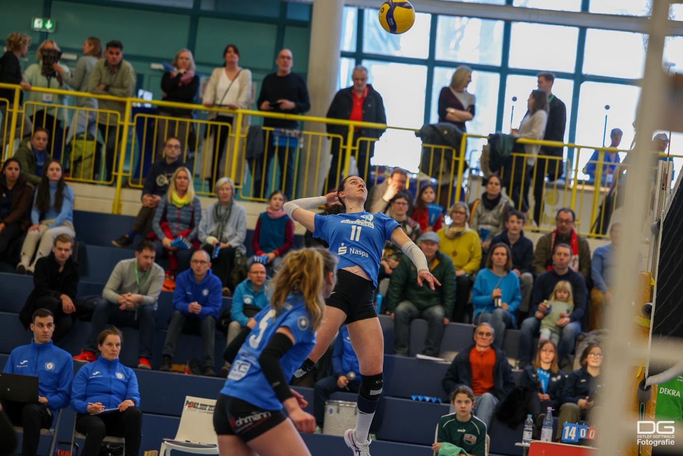 TV Planegg-Krailling zu Gast beim VC Wiesbaden 2 