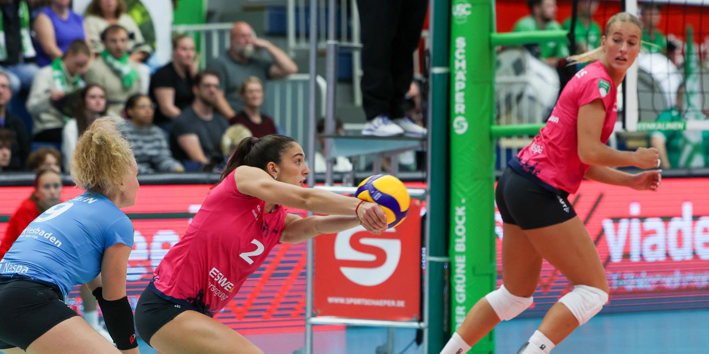 Erstes Heimspiel! VCW fordert die „Ladies“