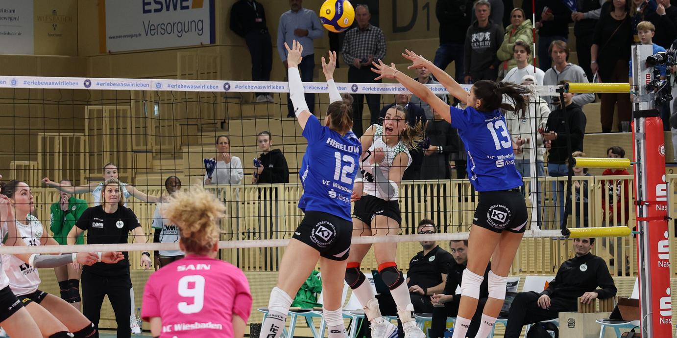 Galatasaray: Willkommen im VCW-Hexenkessel
