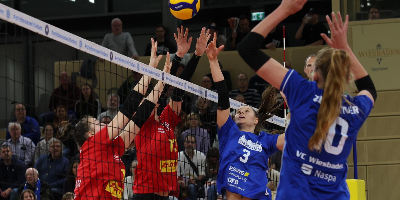 Alles oder nichts: Pokal-Fight in Potsdam 