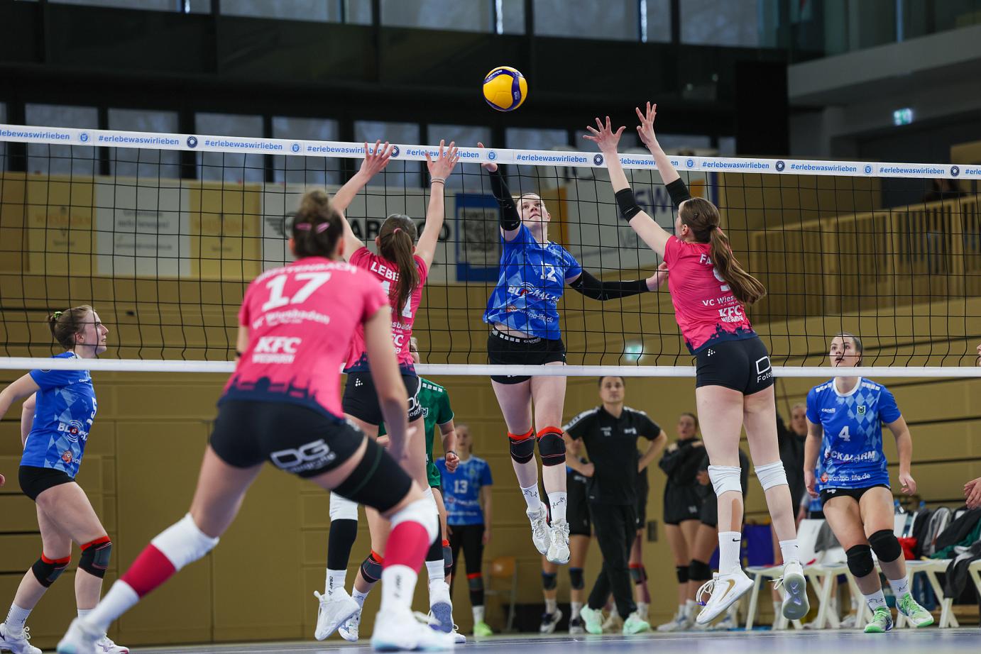 VCW 2 startet gegen TV Dingolfing in die Saison