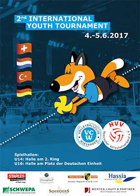 internat Volleyball 2017