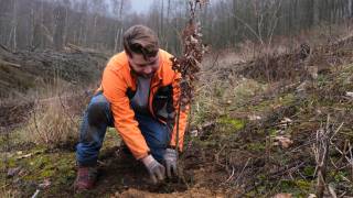 Planted2